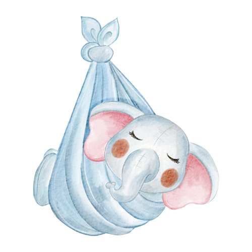 Blankets, wraps & swaddles