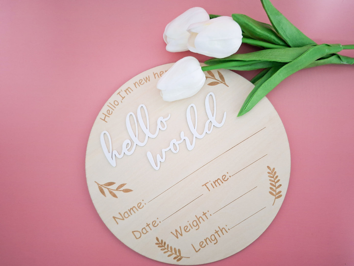 Hello World Birth Announcement Plaque