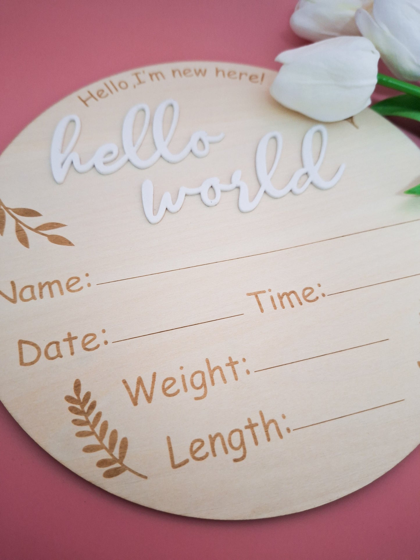 Hello World Birth Announcement Plaque